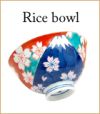 japan pottery ceramics | tableware rice bowl