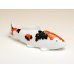 Photo2: Figurine KOI (G) (2)