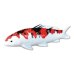 Photo1: Figurine Koi madara Carp red and black (30cm/11.8in) (1)