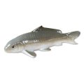 Figurine Koi cha Carp brown (30cm/11.8in)