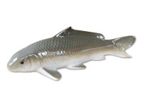 Figurine Koi cha Carp brown (30cm/11.8in)