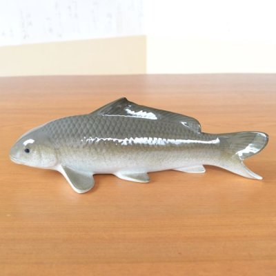 Photo2: Figurine Koi cha Carp brown (30cm/11.8in)