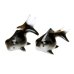 [Made in Japan] Demekin goldfish (Black & Black) Ornament doll