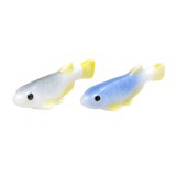 Figurine Medaka killifish (pair) mini
