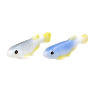 [Made in Japan] Medaka killifish (pair) Ornament doll