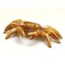 Photo2: Figurine Crab (Small) (2)