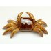 Photo3: Figurine Crab (Small)