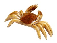 Crab (Large) Ornament doll