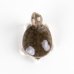 Photo3: Figurine Mini-Kame Turtle SL (3)