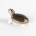 Photo5: Figurine Mini-Kame Turtle SL (5)