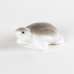 Photo2: Figurine Mini-Kame Turtle SM (2)
