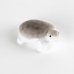 Photo4: Figurine Mini-Kame Turtle SM (4)