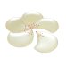 [Made in Japan] Ume hanabira plum (White) Small plates (five pieces of sets)