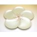 Photo2: Ume hanabira plum (White) Small plates (five pieces of sets) (2)