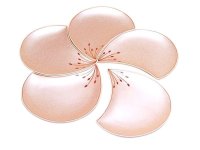 Small Plate (five pieces of sets) Ume hanabira plum (Pink)