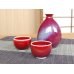 Photo2: Sake set 1 pc Tokkuri bottle and 2 pcs Cups Shinsha (2)