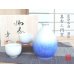 [Made in Japan] Aizome suiteki Sake bottle & cups set