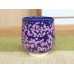 Photo2: Yunomi Tea Cup for Green Tea Shikouyu (Small) (2)