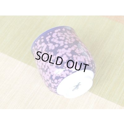 Photo4: Yunomi Tea Cup for Green Tea Shikouyu (Small)