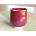 Photo2: Yunomi Tea Cup for Green Tea Naigai Shinsha (Large) (2)