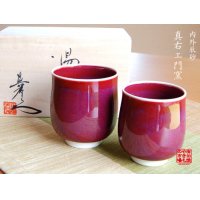 Yunomi Tea Cup for Green Tea Naigai Shinsha (pair)