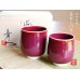 [Made in Japan] Naigai Shinsha (pair) Japanese green tea cup (wooden box)