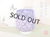 Yunomi Tea Cup for Green Tea Shikouyu (Large)