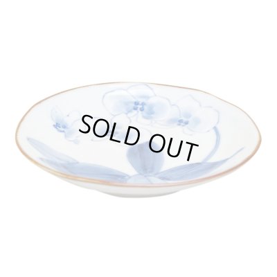 [Made in Japan] Kochouran Medium plate