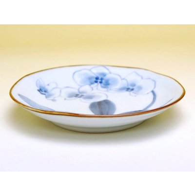 Photo2: Medium Plate (14.6cm) Kochouran