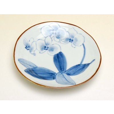 Photo3: Medium Plate (14.6cm) Kochouran