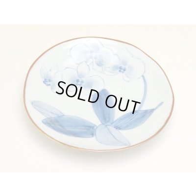 Photo3: Medium Plate (14.6cm) Kochouran