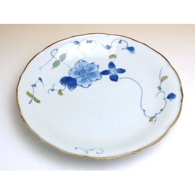 Photo2: Large Plate (21cm) Somenishiki hana botan