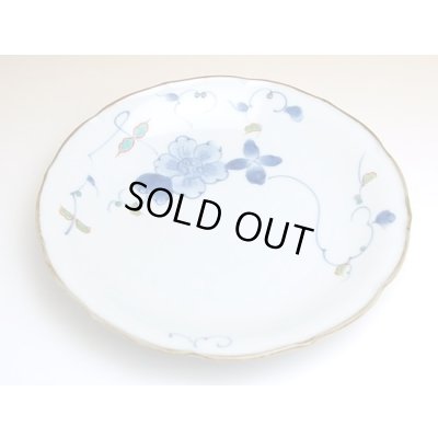 Photo2: Large Plate (21cm) Somenishiki hana botan