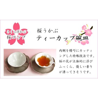 Photo4: Tea Cup and Saucer Hakuji ginsai (Silver) SAKURA shaped Cup