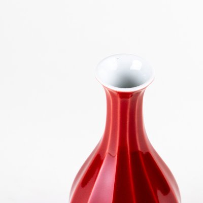 Photo3: Sake Bottle Tokkuri Benisai Red