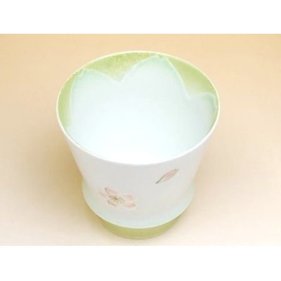 Photo3: Mai Sakura (Green) cup