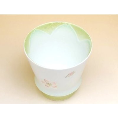 Photo3: Cup Mai Sakura (Green)