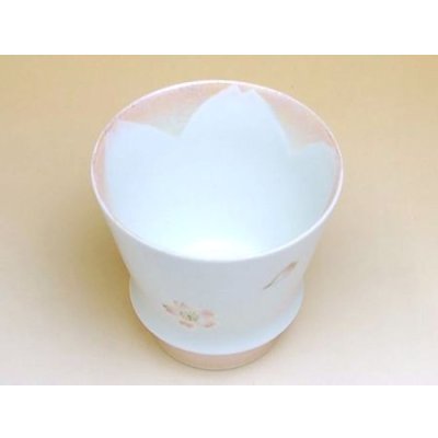 Photo3: Cup Mai Sakura (Pink)
