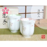 Yunomi Tea Cup for Green Tea Mai Sakura (Green & Pink /pair)