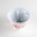 Photo2: Yunomi Tea Cup for Green Tea Nijisai Sakura Cherry blossoms (2)