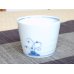 Photo2: Small Bowl  for Soba Soup (8cm) Kobana Cup (2)