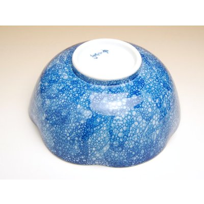 Photo3: Large Bowl (21cm) Yuteki midare tokusa