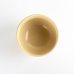 Photo4: Matcha Bowl Plum Blossom Pattern Nishiki-Ume with Wooden Box (4)