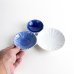 Photo5: Large Divided Plate Kikurenka (20.3 cm/8.0 in) (5)
