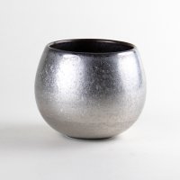 Cup Ginsai shizuku Silver