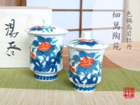 Yunomi Tea Cup with Lid for Green Tea Ironabeshima Iwa botan (pair)