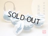 Tea set for Green Tea 1 pc Teapot and 5 pcs Cups Nabeshima sansui Landscape