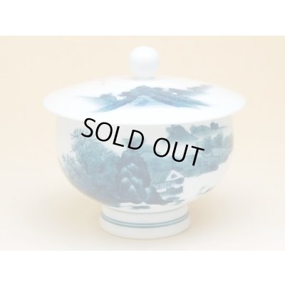 Photo3: Tea set for Green Tea 1 pc Teapot and 5 pcs Cups Nabeshima sansui Landscape