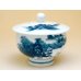 Photo3: Tea set for Green Tea 1 pc Teapot and 5 pcs Cups Nabeshima sansui Landscape