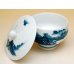 Photo4: Tea set for Green Tea 1 pc Teapot and 5 pcs Cups Nabeshima sansui Landscape